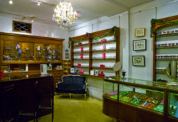 Selima Optique and Accessories Display with Jewlery and accessories