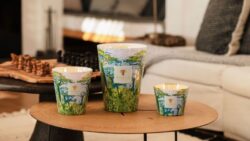 Sacred Trees collection candles.