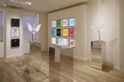 Lalique store interior