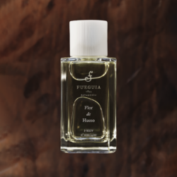 Fueguia 1833 flor de hueso