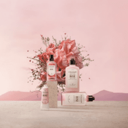 L'OCCITANE ROSE FRAGRANCE BOTTLES