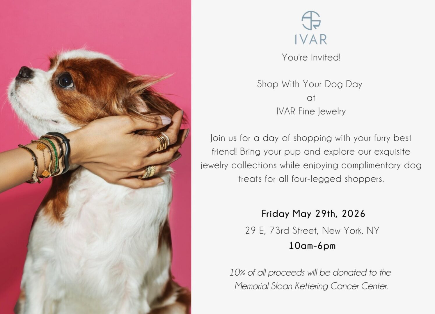 Dog being pet by hand with Ivar jewelry